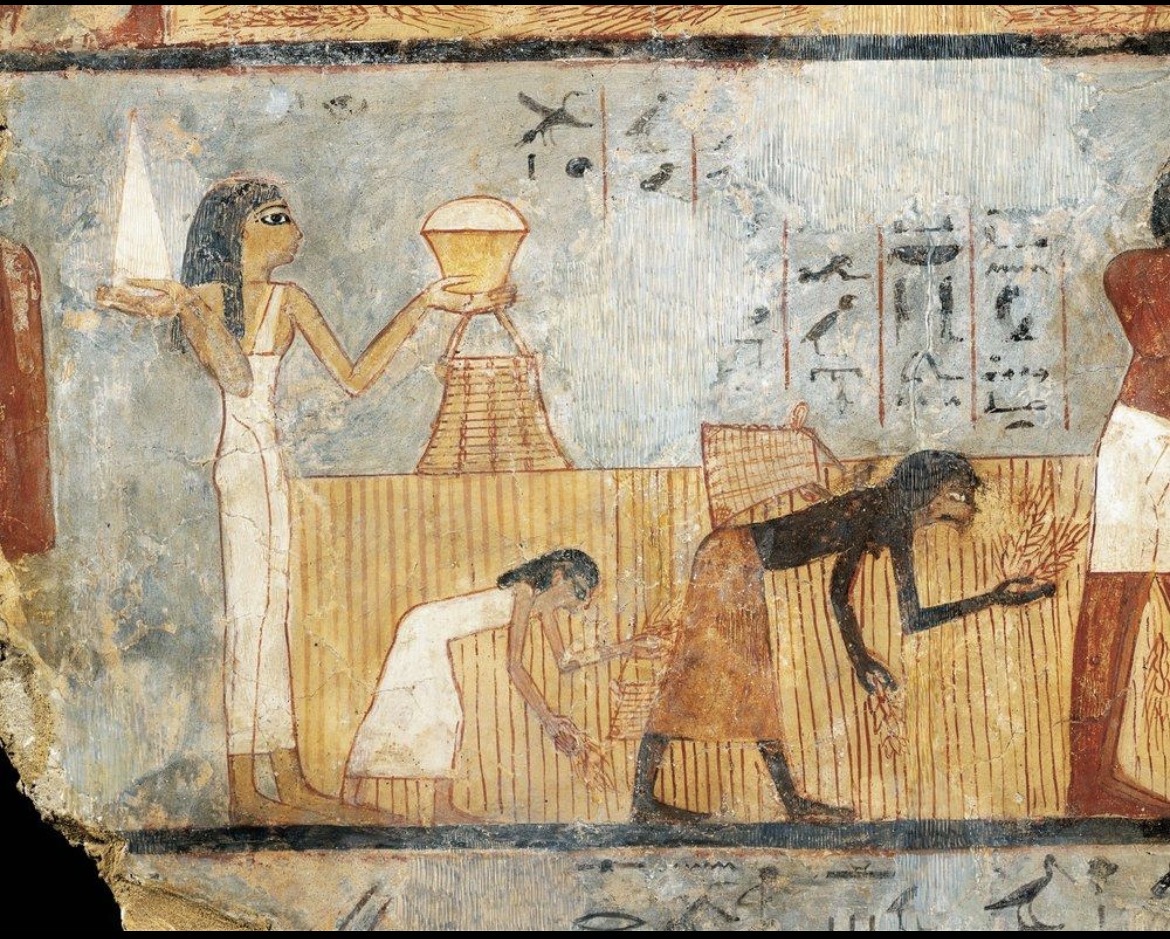 Escena del antiguo Egipto relacionada con labores agrícolas y cereal